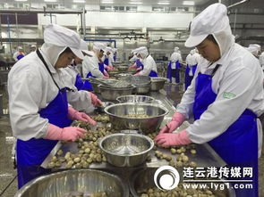對接“一帶一路”戰略，打造新時代進出口食品安全大通道